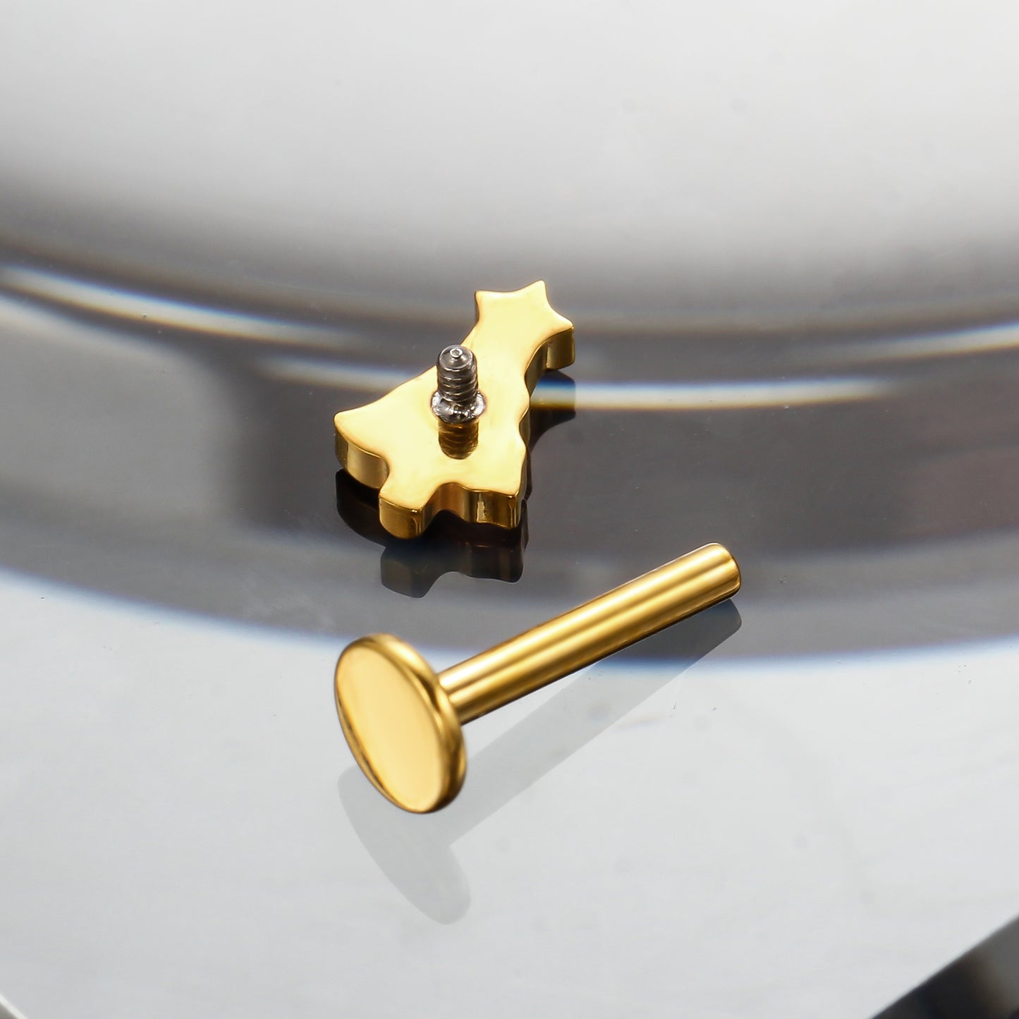 Piercing Labret Titânio G23 Design Delicado que Valoriza o Sorriso