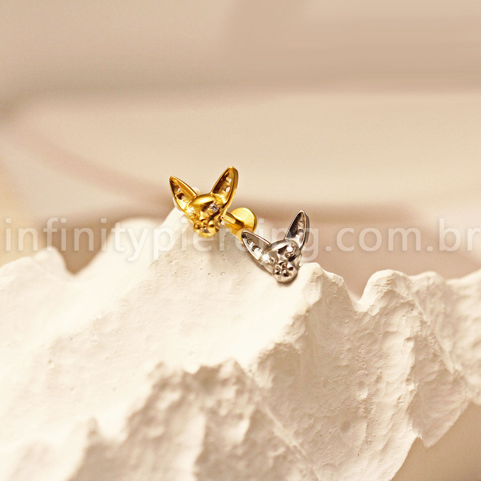 Piercing Labret Titânio Gato