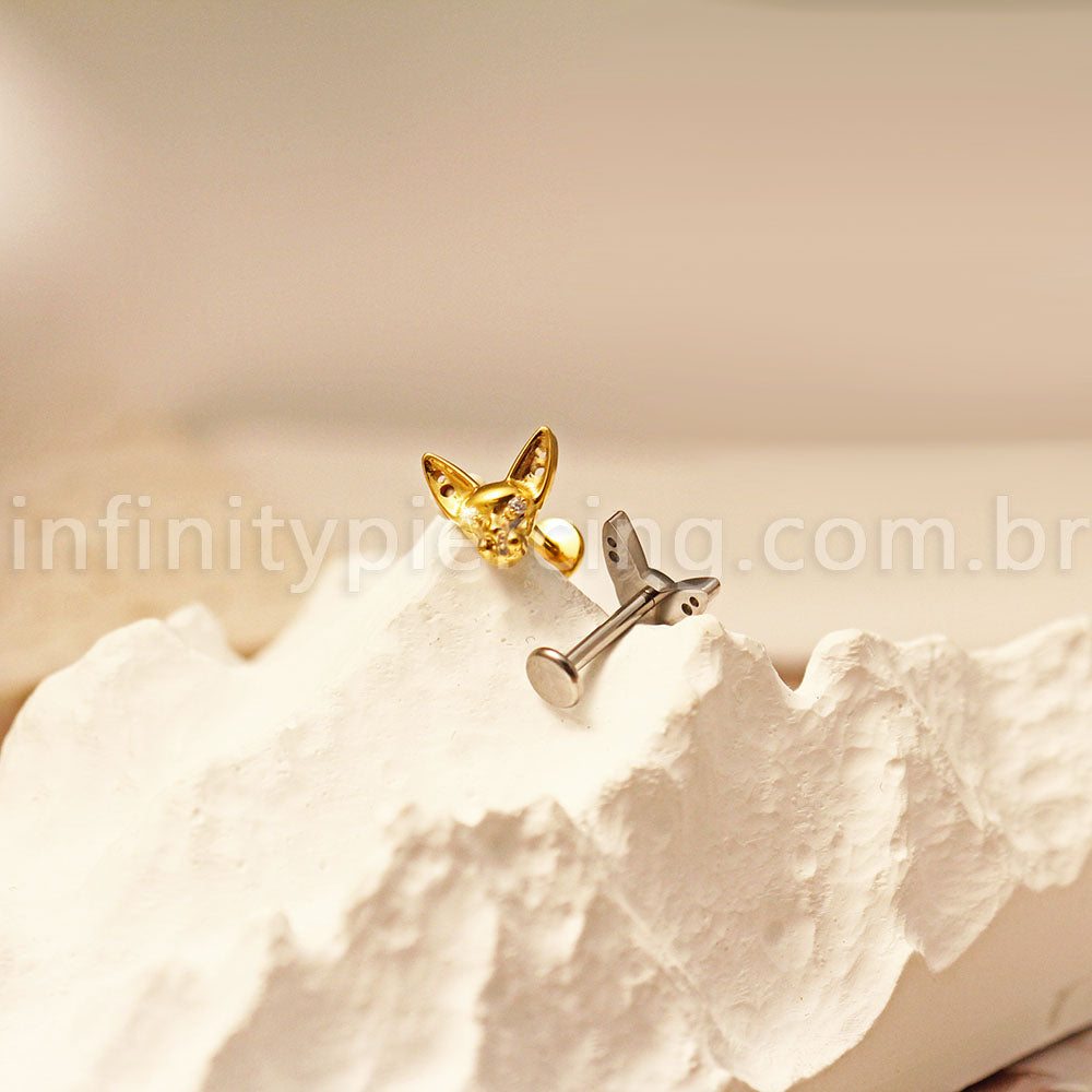 Piercing Labret Titânio Gato