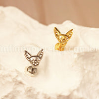 Piercing Labret Titânio Gato