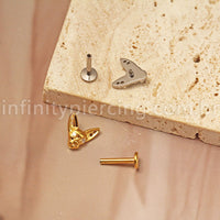 Piercing Labret Titânio Gato
