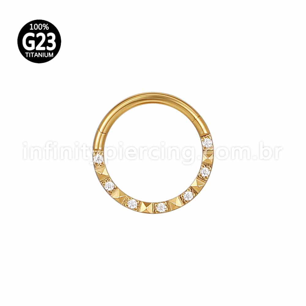 Piercing Argola Segmento Articulado Titânio Zircônia Com Detalhe