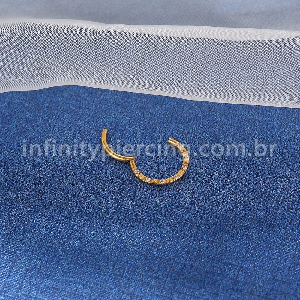 Piercing Argola Segmento Articulado Titânio Zircônia Com Detalhe