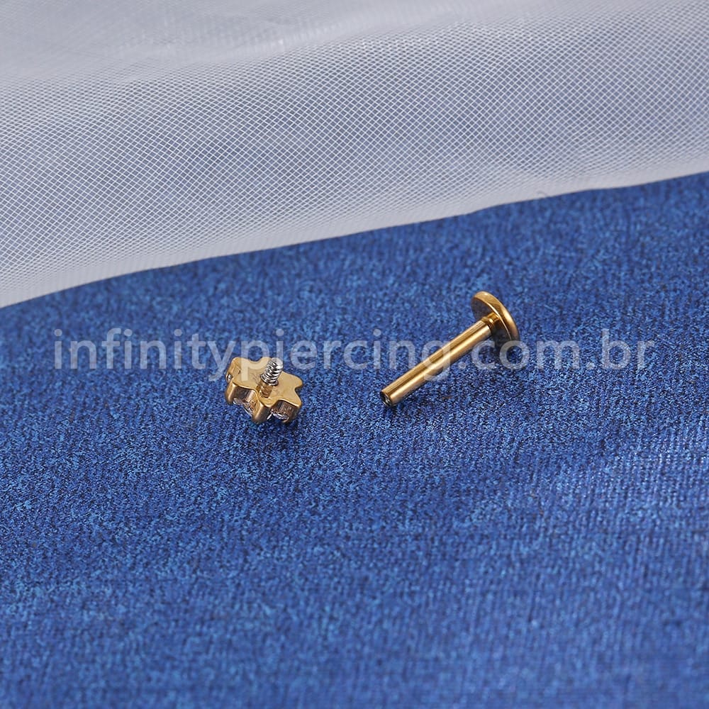 Piercing Labret Aço Cirúrgico Rosca Flor Zircônia