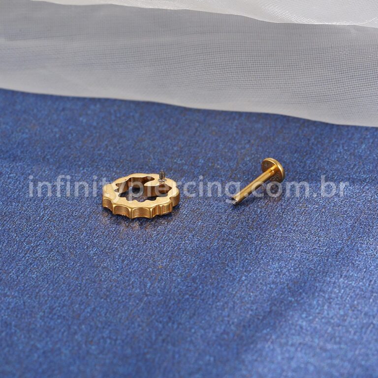 Piercing Labret Titânio Redonda 6 Zircônias