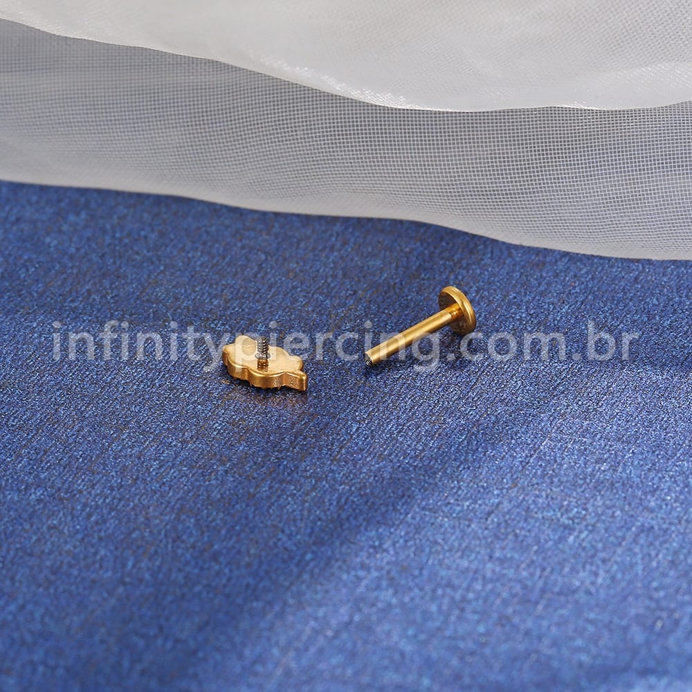 Piercing Labret Titânio Mini Folha Zircônia