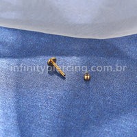 Piercing Labret Titânio Rosca Interna Ponto De Luz Zircônia