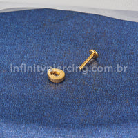 Piercing Labret Titânio Gota Zircônia