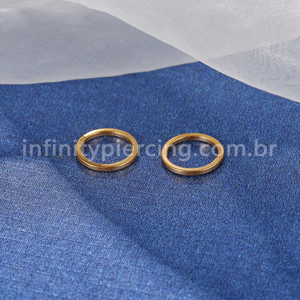 Brinco Argola Segmento Articulado Aço Cirúrgico Liso