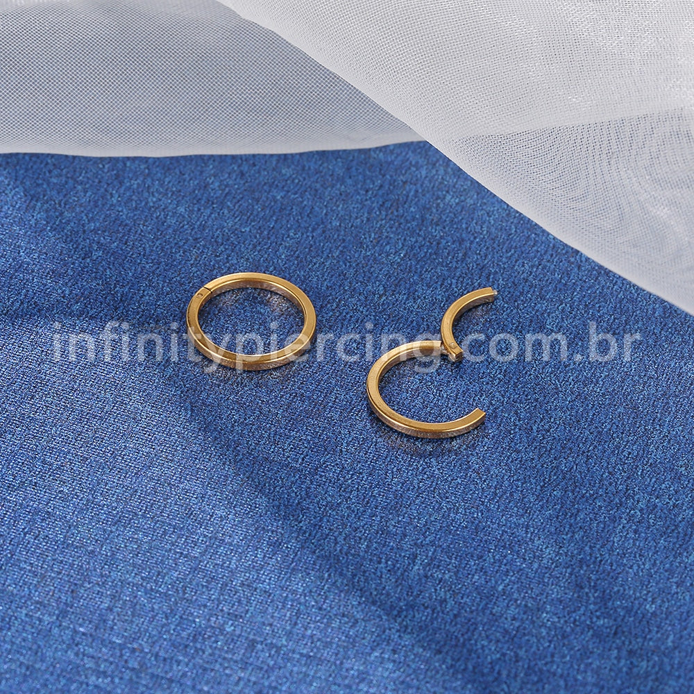 Brinco Argola Segmento Articulado Aço Cirúrgico Liso