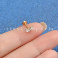 Piercing Labret Titânio Zircônia Cravejada