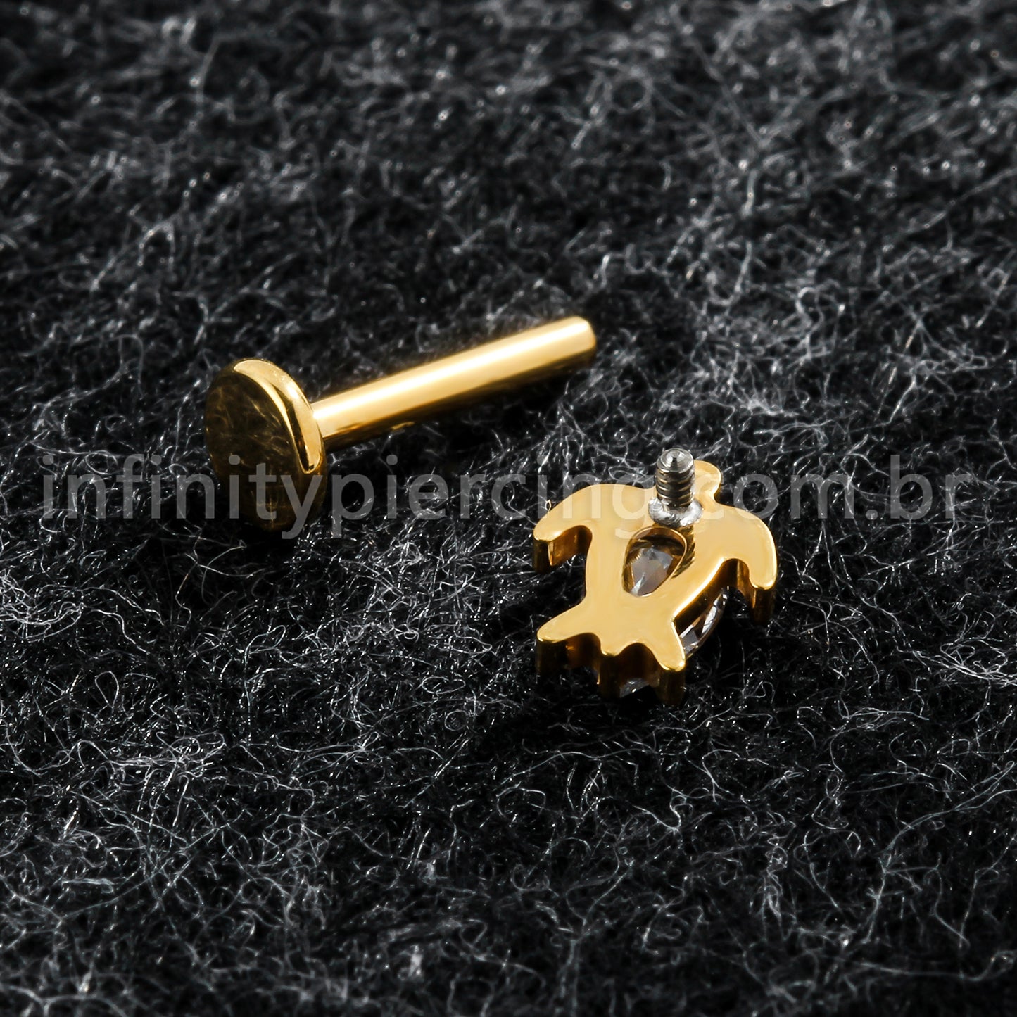 Piercing Labret Titânio Tartaruga Com Zircônia Cravejada