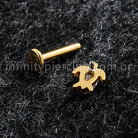 Piercing Labret Titânio Tartaruga Com Zircônia Cravejada