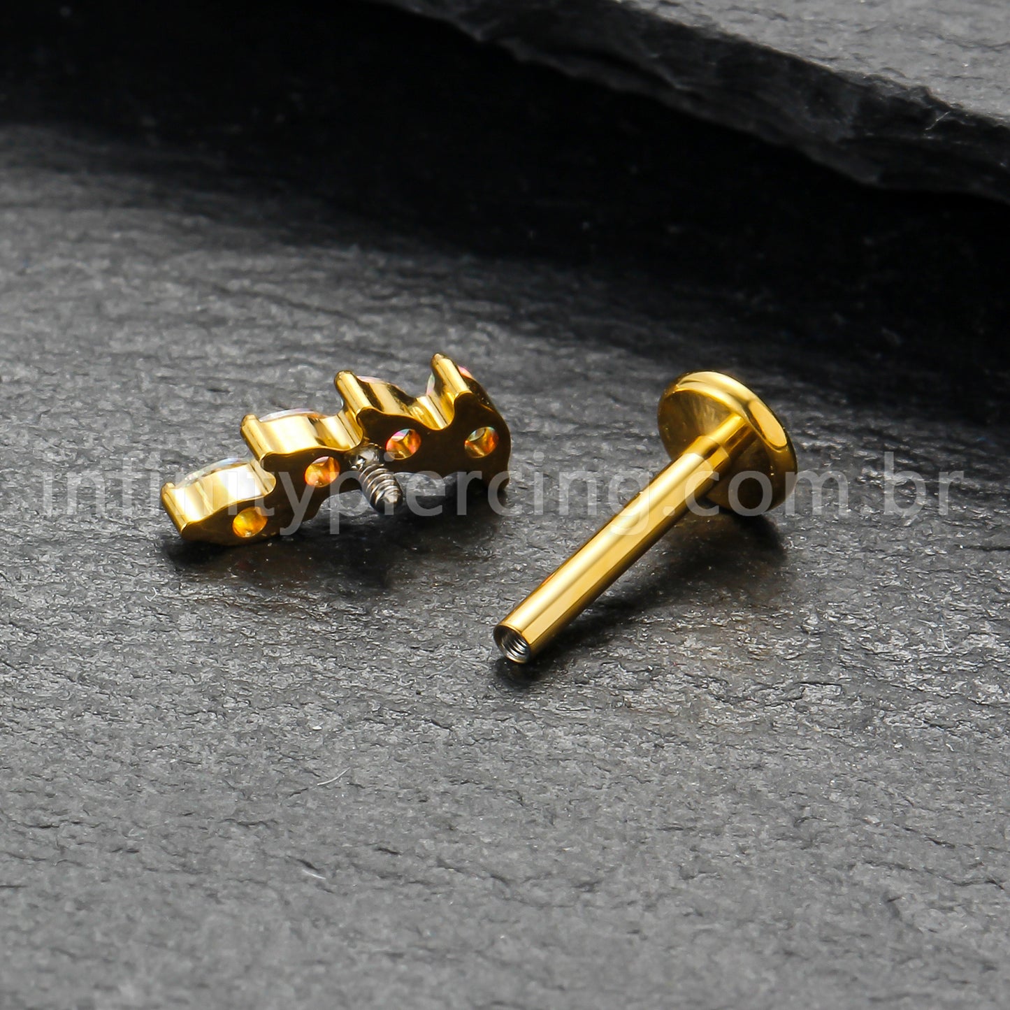 Piercing Labret Titânio Folhas Zircônia