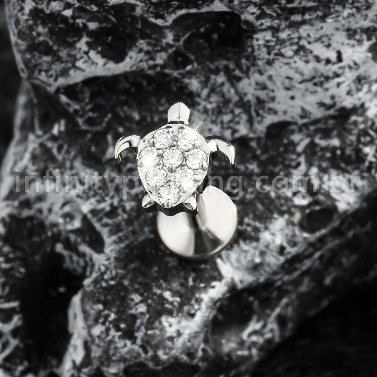 Piercing Labret Titânio Tartaruga Zircônia Cravejada