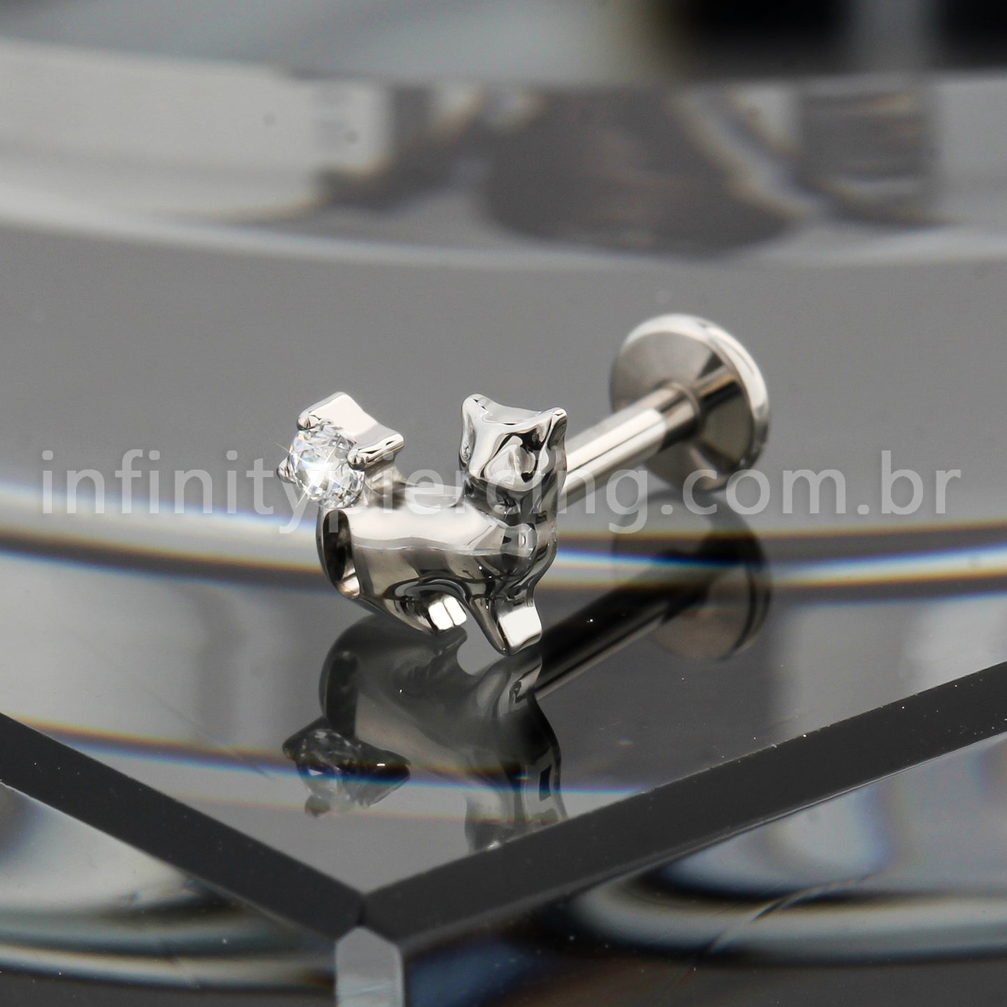 Piercing Labret Titânio Gato