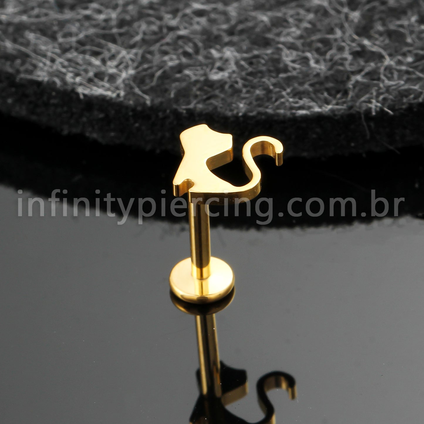 Piercing Labret Titânio Gato
