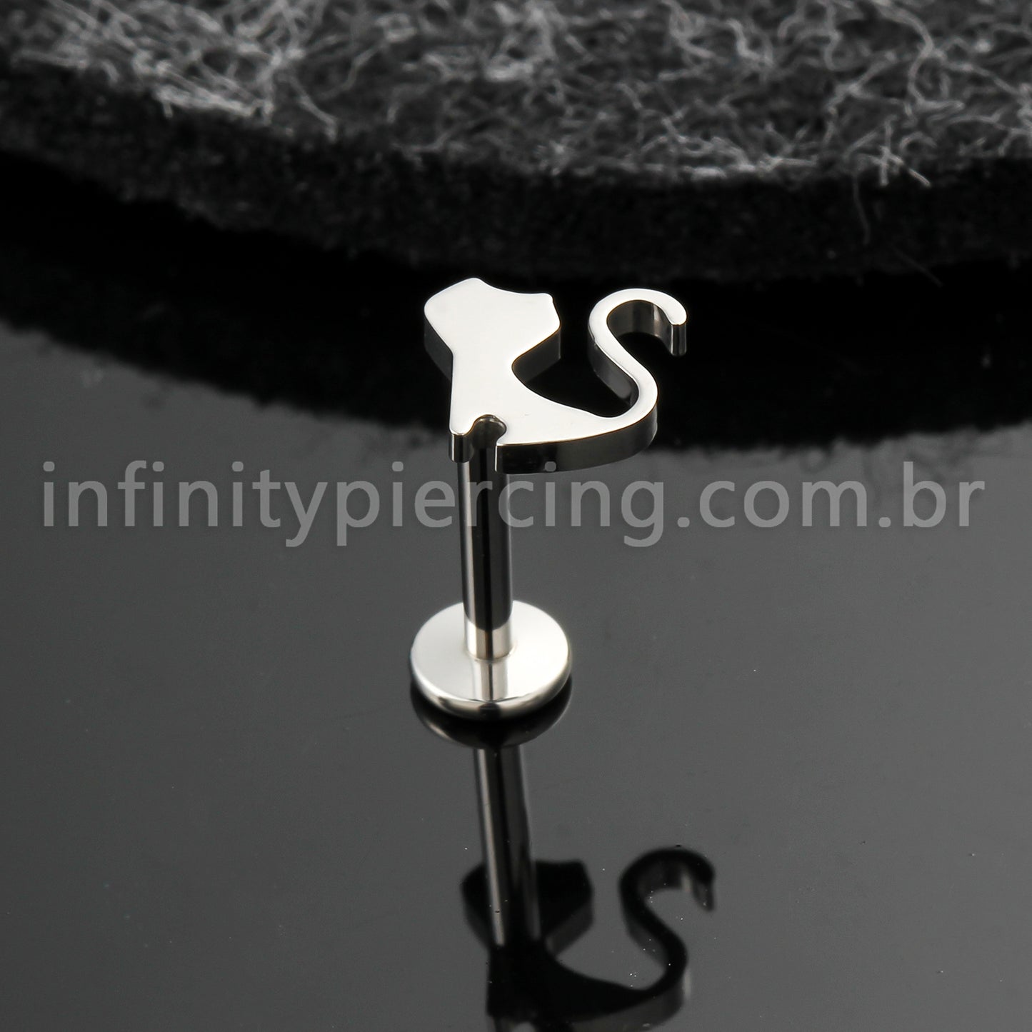 Piercing Labret Titânio Gato
