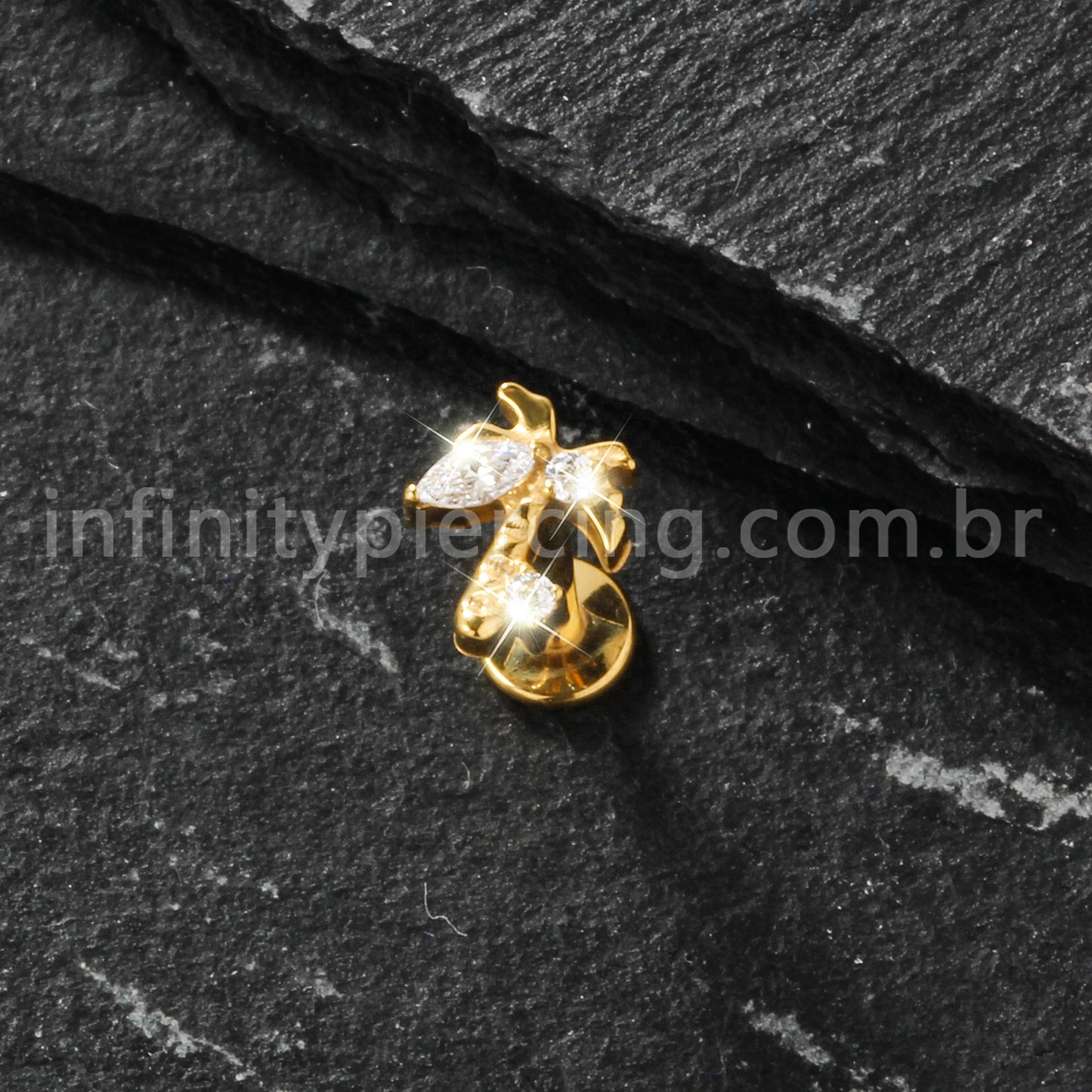 Piercing Labret Titânio Coqueiro Zircônia