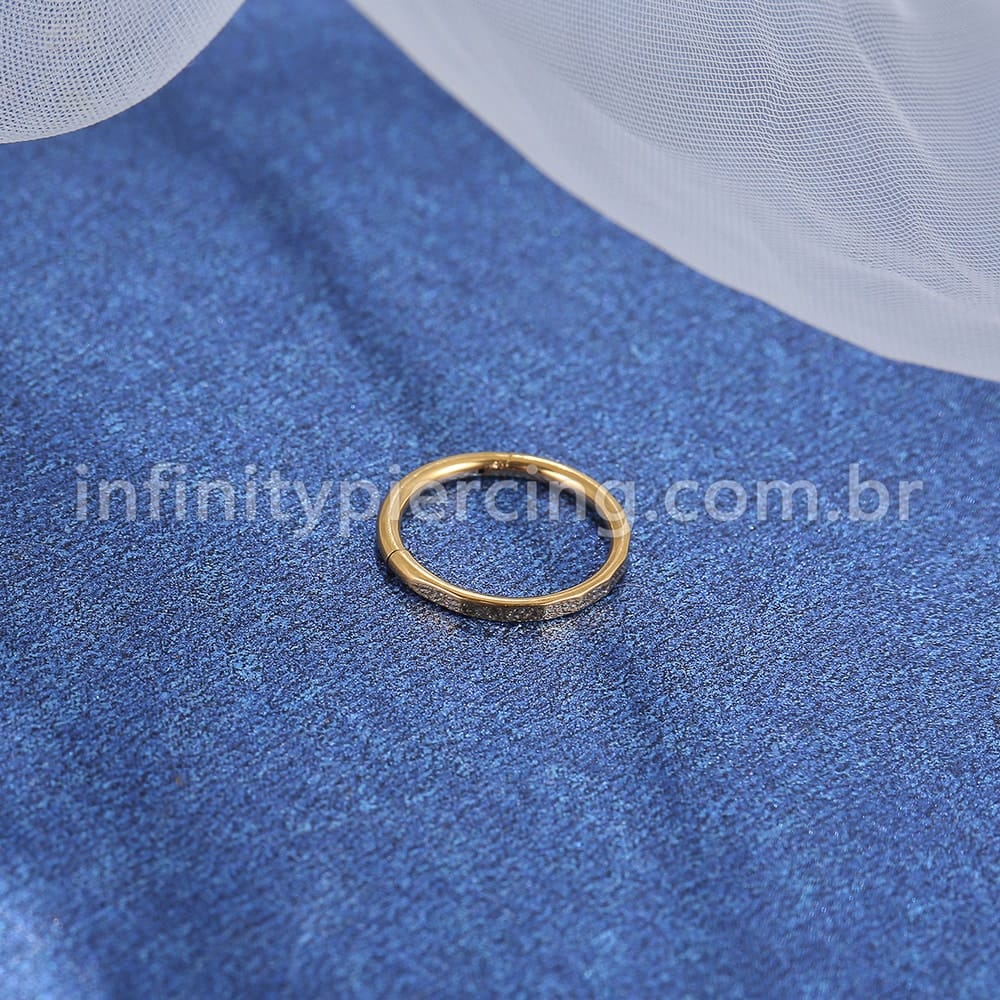 Piercing Argola Segmento Articulado Aço Cirúrgico Detalhado