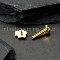 Piercing Labret Titânio Patinha