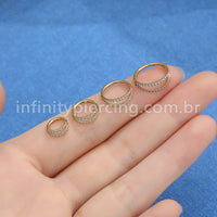 Piercing Argola Segmento Articulado Aço Cirúrgico Zircônia 2 Fileiras Vazadas