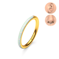 Piercing Argola Segmento Articulado Aço Cirurgico Opala