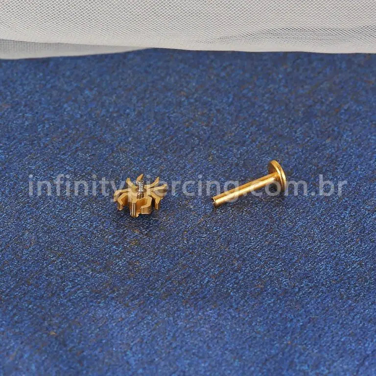 Piercing Labret Titânio Aranha Com Zircônia Cravejada