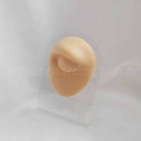 Expositor De Silicone Sobrancelha