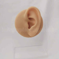 Expositor De Silicone Orelha