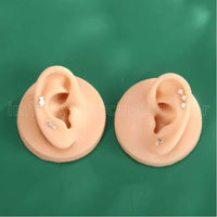 Expositor De Silicone Orelha