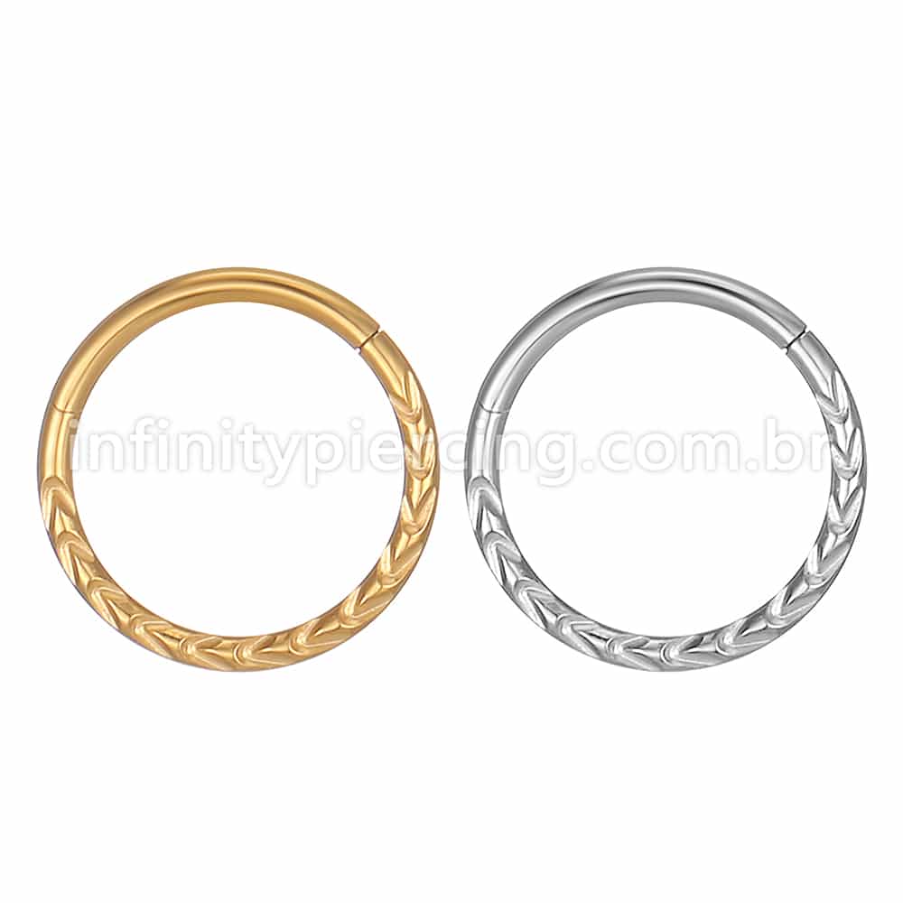 Piercing Argola Segmento Articulado Aço Cirúrgico Detalhado