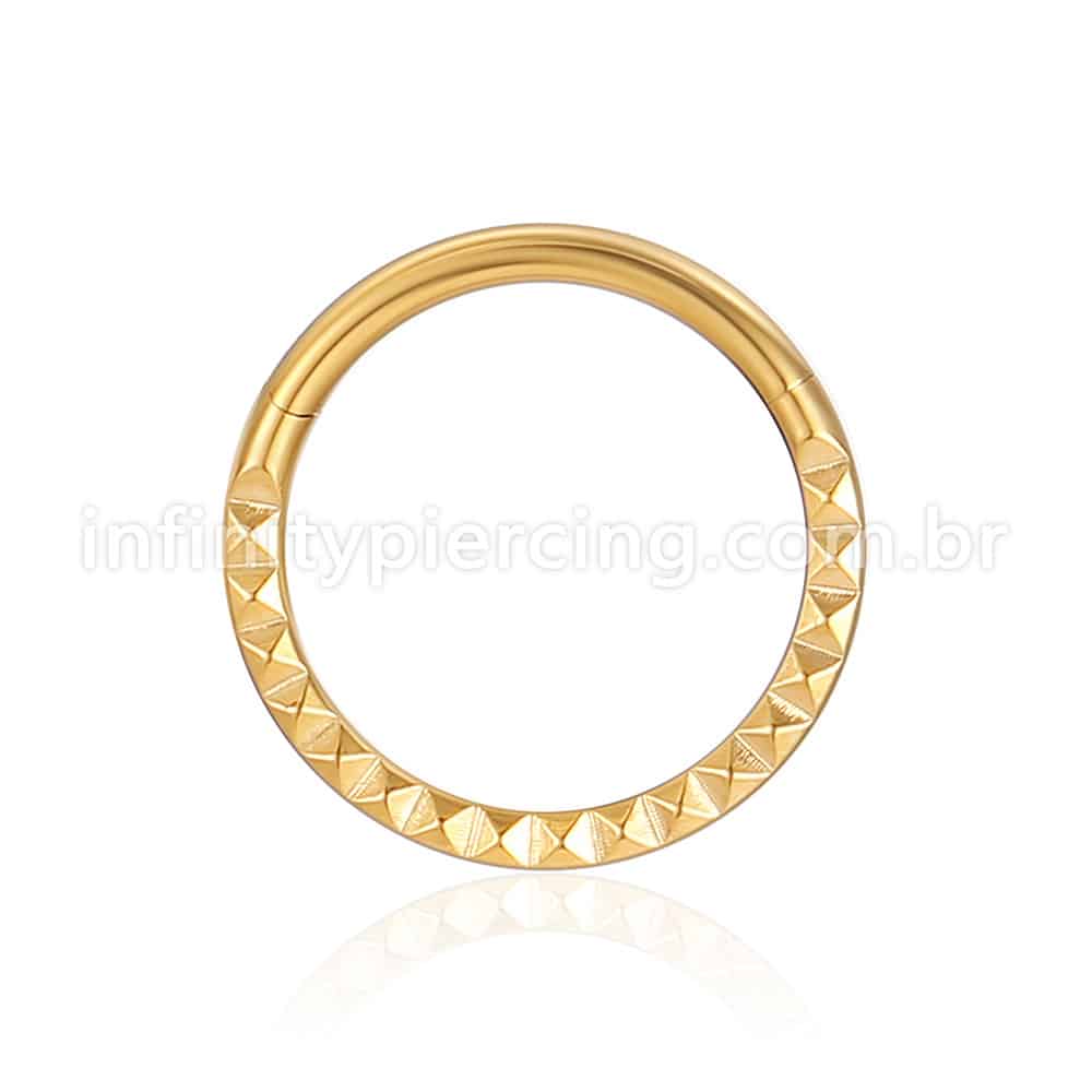 Piercing Argola Aço Cirúrgico Segmento Articulado Detalhado Frontal