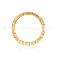 Piercing Argola Aço Cirúrgico Segmento Articulado Detalhado Frontal